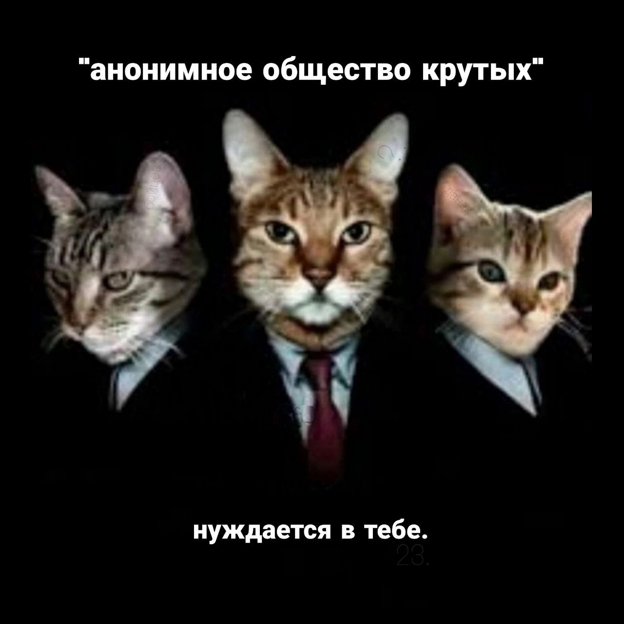 "анонимное общество крутых" нуждается в тебе.
