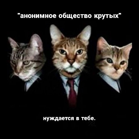 "анонимное общество крутых" нуждается в тебе.