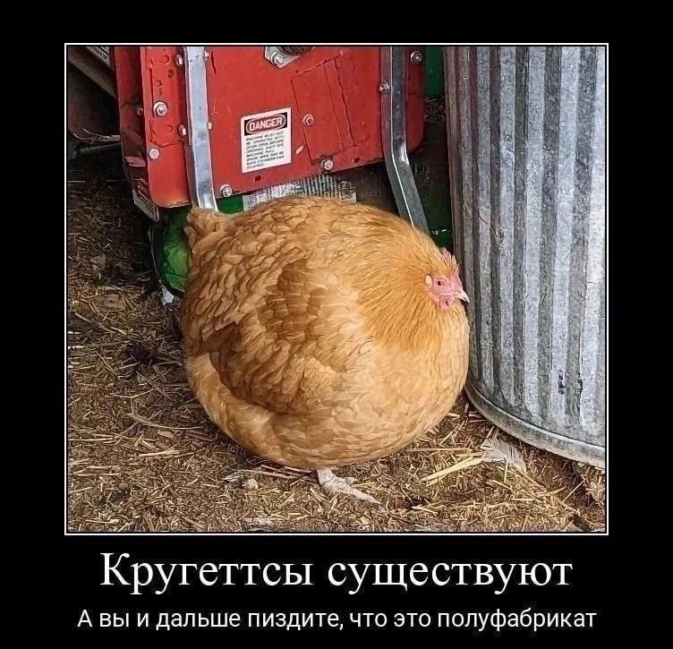 к a a at хуи vel Кругеттсы существуют А вы и дальше пиздите, что это полуфабрикат