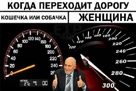 КОГДА ПЕРЕХОДИТ ДОРОГУ ЖЕНЩИНА 160 480 140 100 120 140 60 IZO 220 180 700 60 200 240 40 220 20 240 280—_ я 8 и! 300