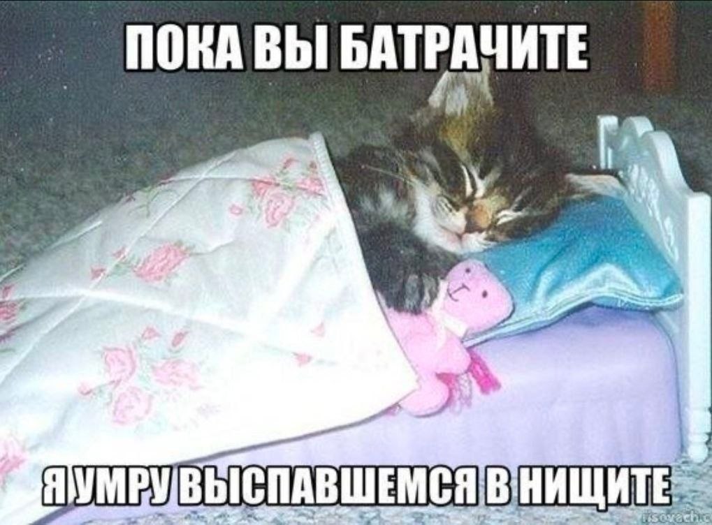ПОКА ВЫ БАТРАЧИТЕ ЯУМРУВЫСПАВШЕМСЯ В
