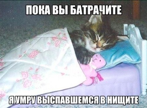 ПОКА ВЫ БАТРАЧИТЕ ЯУМРУВЫСПАВШЕМСЯ В