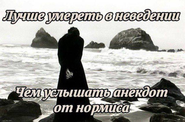 22 4 Чей от нортиса