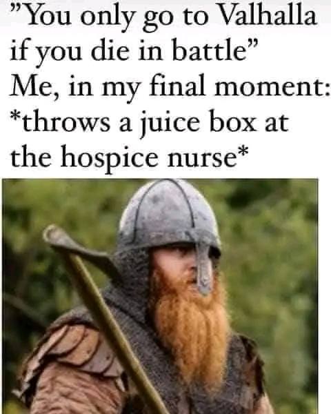 only to Valhalla if you die in battle” Me, in my final moment: *throws a juice box at the hospice nurse*