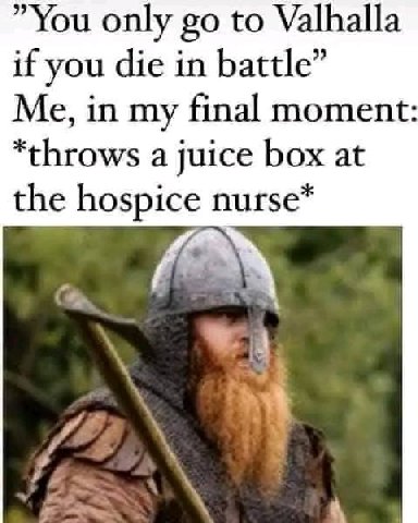 only to Valhalla if you die in battle” Me, in my final moment: *throws a juice box at the hospice nurse*