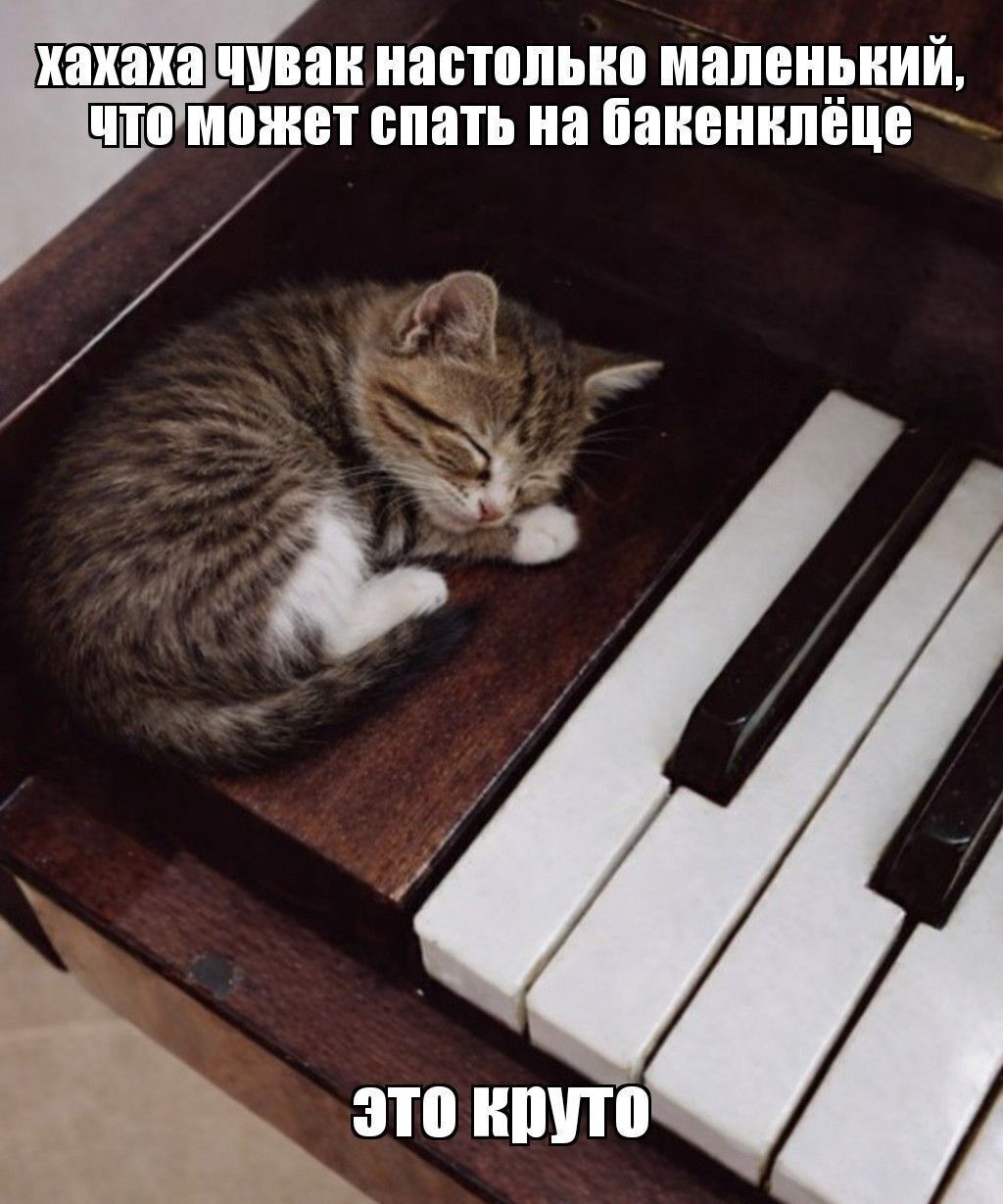 хахаха чувак настолько маленький, что может спать на бакенклёце 4, это круто