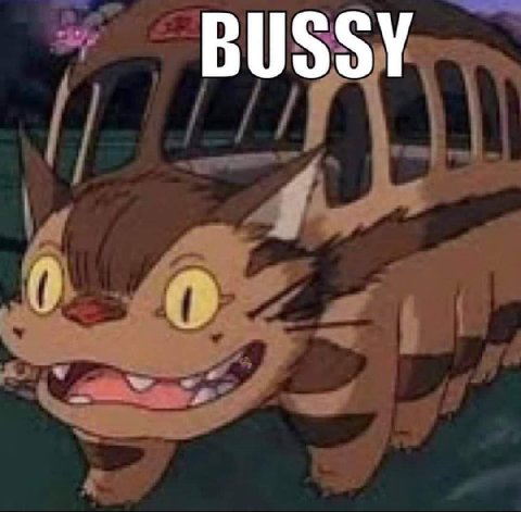 BUSSY