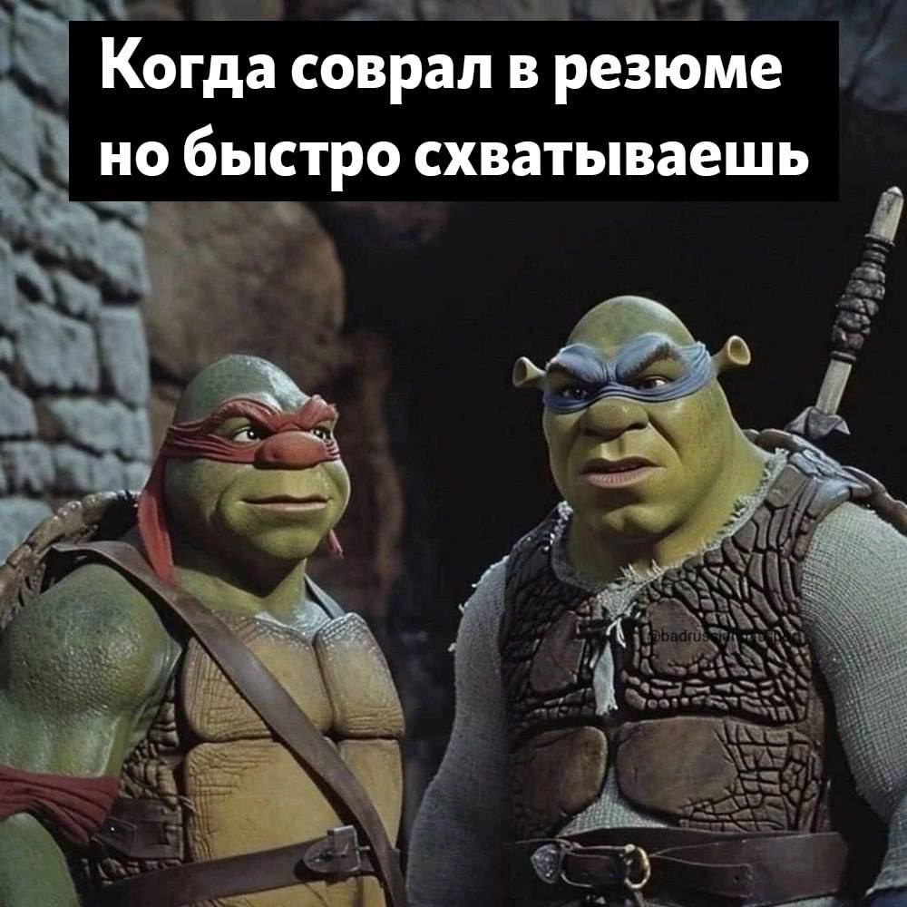 Когда соврал в резюме но быстро схватываешь