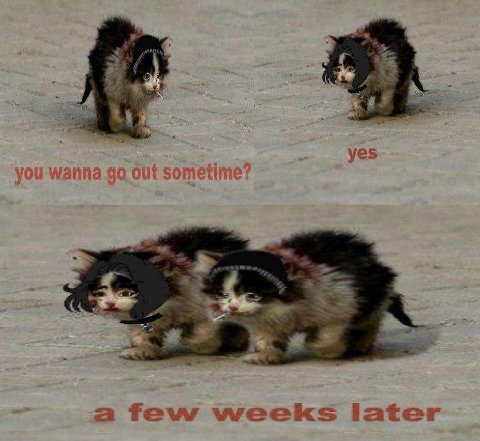 7 yes a few weeks iater