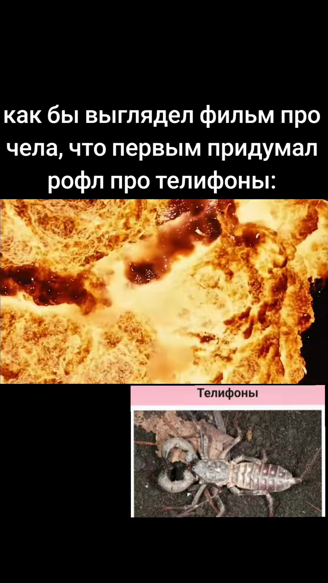 как бы выглядел фильм про чела, что первым придумал рофл про телифоны: Телифоны