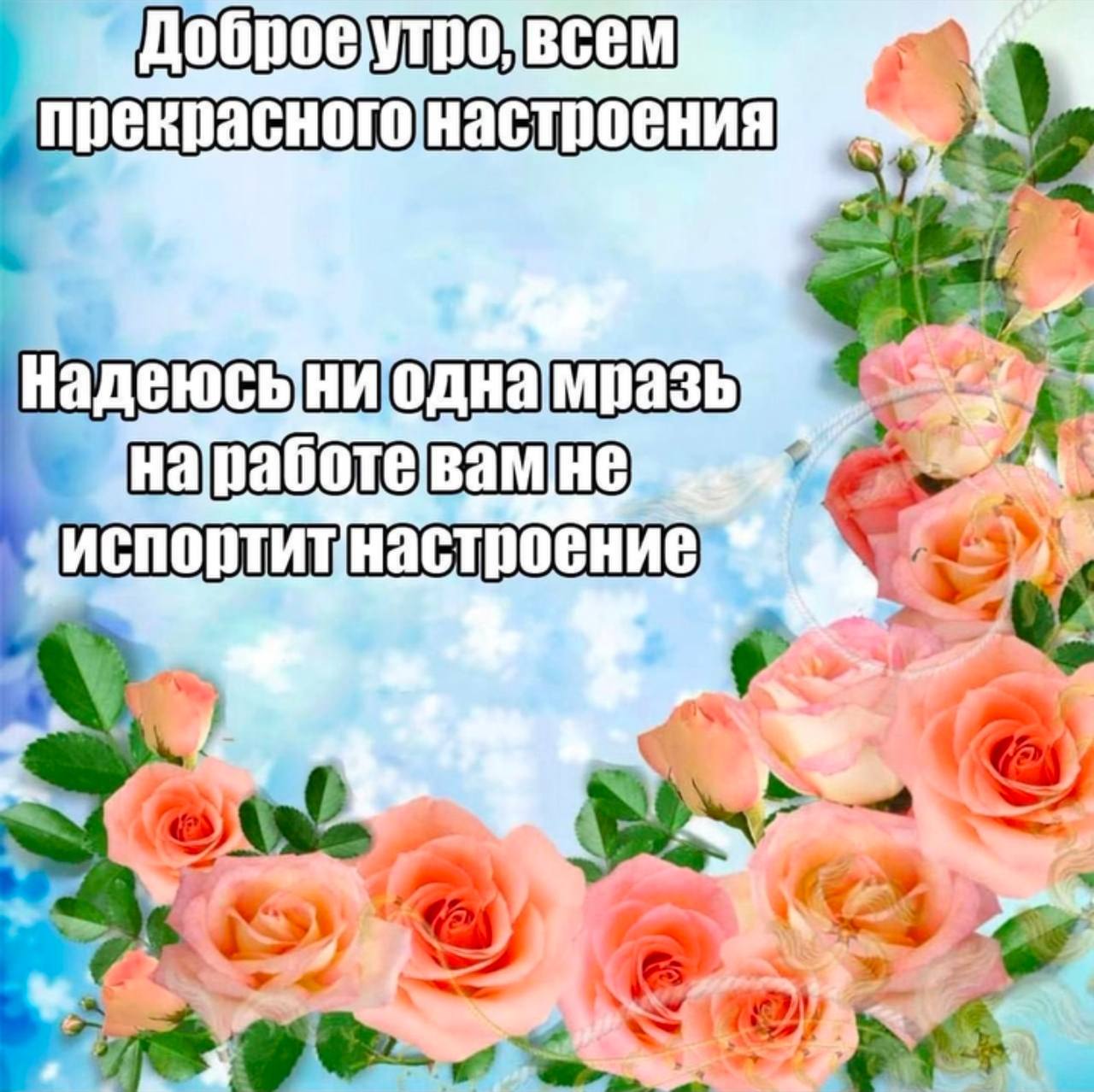 прекрасного настроения мпазь Чнаработевамне и