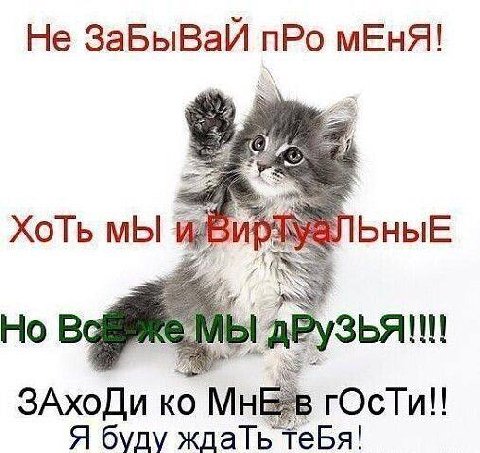 Не ЗаБыВаИ пРо мЕнЯ! Хоть мы bHbIE Но ЗАхоДи rOcTu!! Я буду ждаТьт теБя!