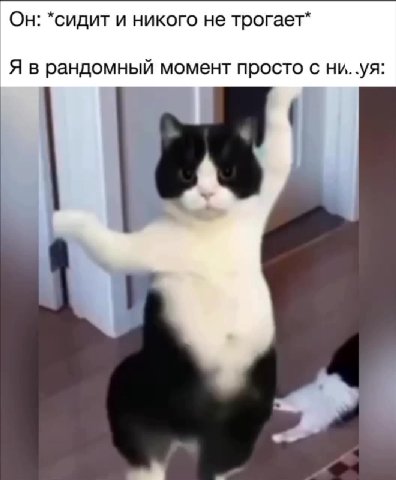 Он: *сидит и никого не трогает* Я в рандомный момент просто с ни. .уя: