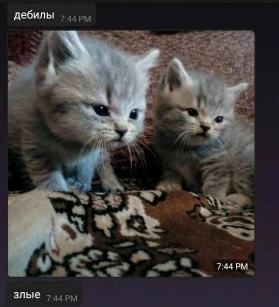 дебилы злые