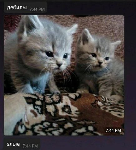 дебилы злые