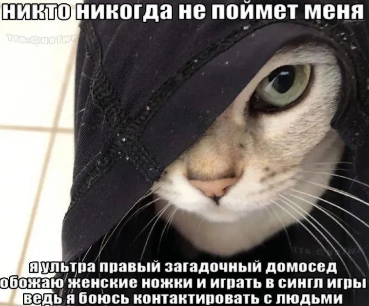 никтоникогда не поймет меня NNSA яультра правый загадочный домосед` божаю женские ножки и играть в сингл игры Ban я боюсь контактировать с людьми