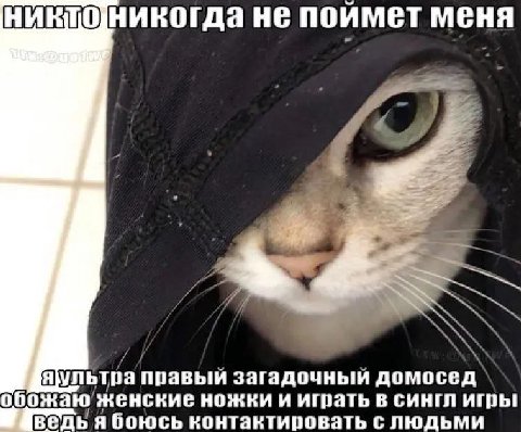 никтоникогда не поймет меня NNSA яультра правый загадочный домосед` божаю женские ножки и играть в сингл игры Ban я боюсь контактировать с людьми