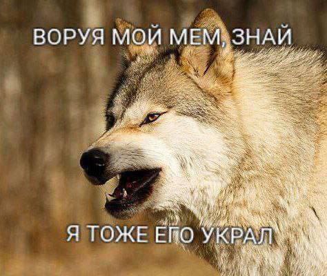 ВОРУЯ мой МЕМ; ЗНАЙ 4 я Я Wad Я ТОЖЕ ETO УКРАЛ at