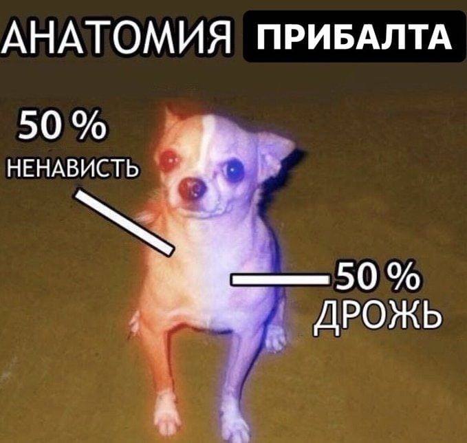 АНАТОМИЯ ПРИБАЛТА 50 НЕНАВИСТЬ ДРОЖЬ А