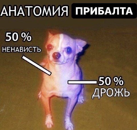 АНАТОМИЯ ПРИБАЛТА 50 НЕНАВИСТЬ ДРОЖЬ А