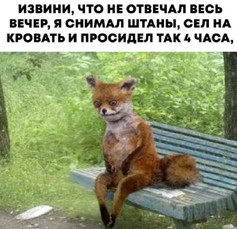 ИЗВИНИ, ЧТО НЕ ОТВЕЧАЛ ВЕСЬ ВЕЧЕР, Я СНИМАЛ ШТАНЫ, СЕЛ НА КРОВАТЬ И ПРОСИДЕЛ ТАК 4 ЧАСА