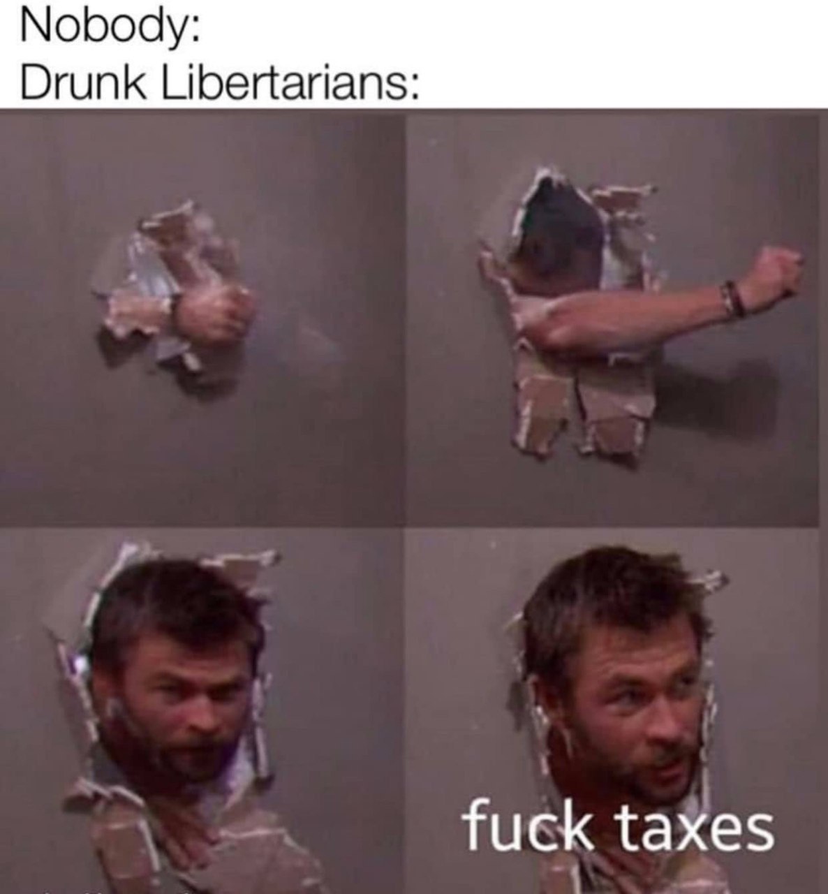 Nobody: Drunk Libertarians: fuck taxes