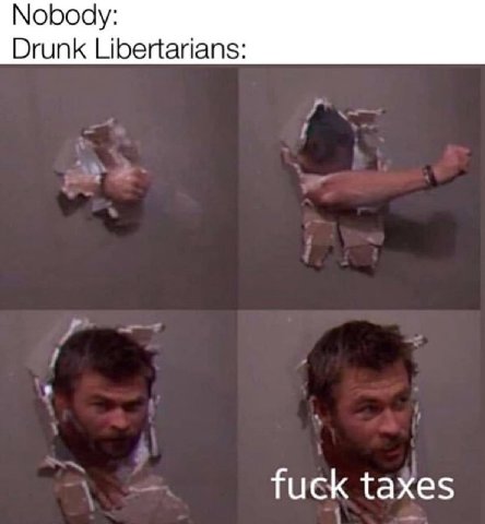 Nobody: Drunk Libertarians: fuck taxes