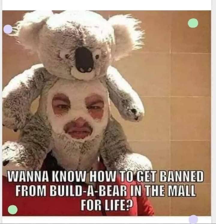 WANNA KNOW ТО’СЕТ BANNED FROM BUILD-A-BEAR IN THE MALL FOR LIFE?