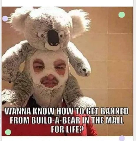 WANNA KNOW ТО’СЕТ BANNED FROM BUILD-A-BEAR IN THE MALL FOR LIFE?