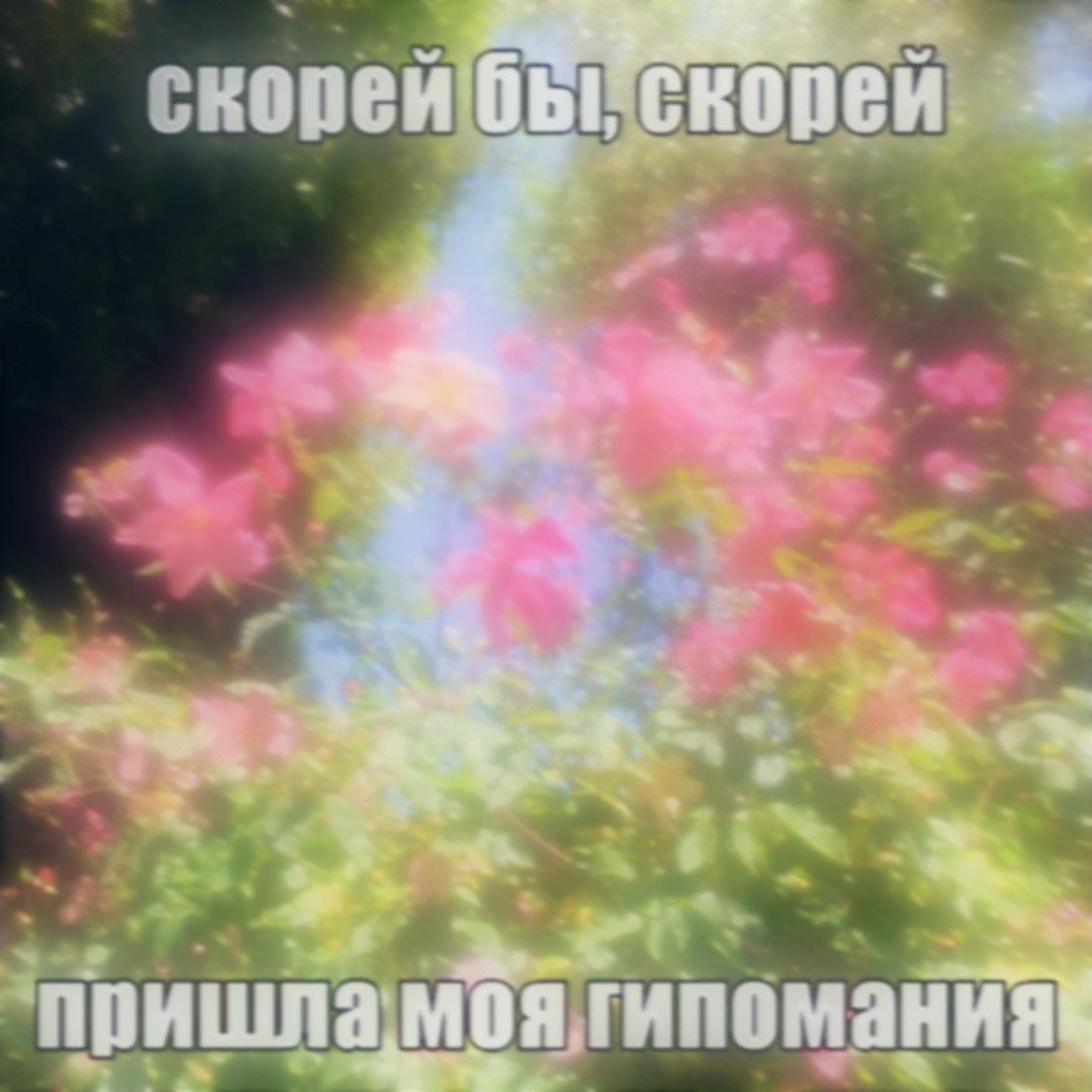 чорей к 2