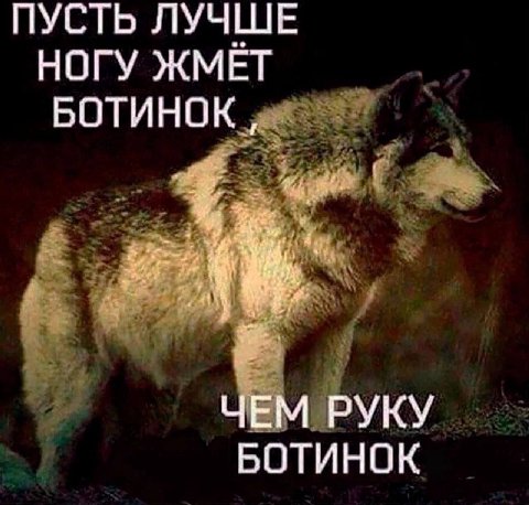 ПУСТЬ ЛУЧШЕ НОГУ ЖМЕТ БОТИНОК ЧЕМ РУКУ БОТИНОК