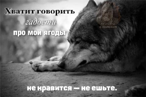 оворить про ненравится не ешьте.