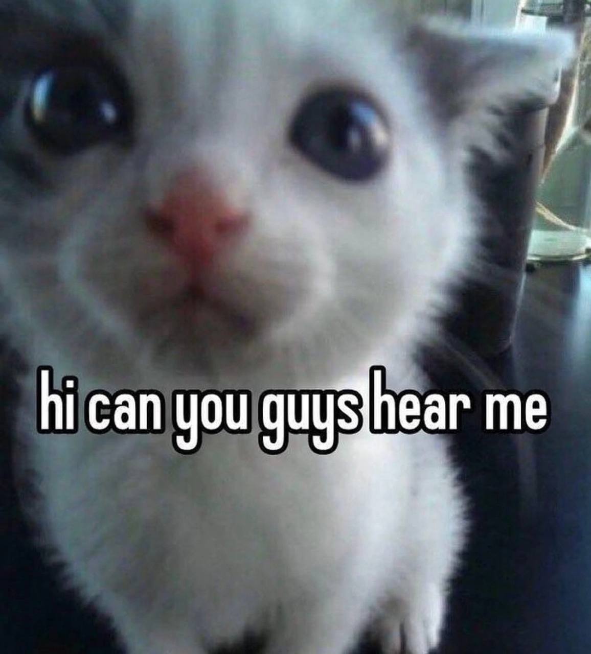 you me