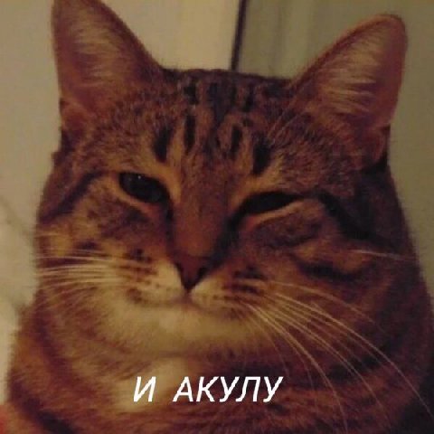 И АКУЛУ