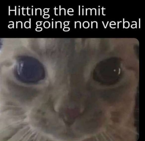 Hitting the limit and going non verbal
