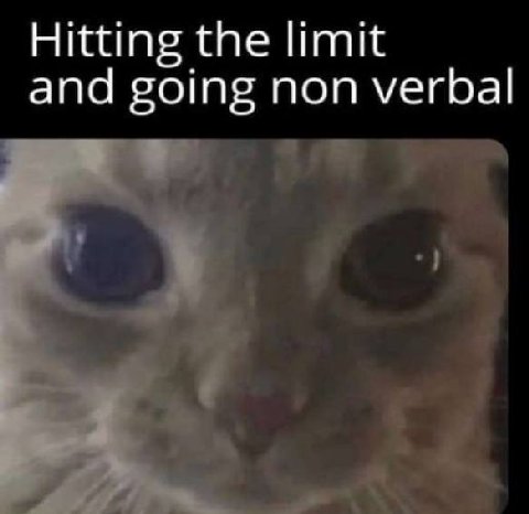 Hitting the limit and going non verbal