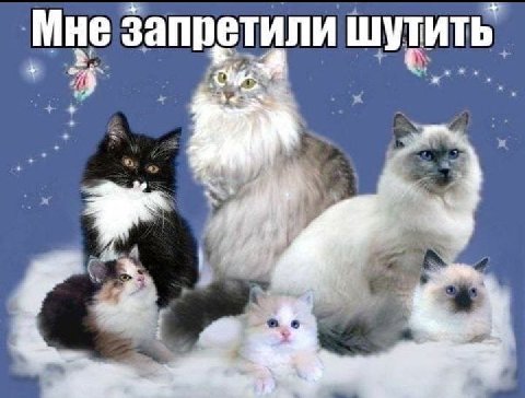 Мне запретили шутить a