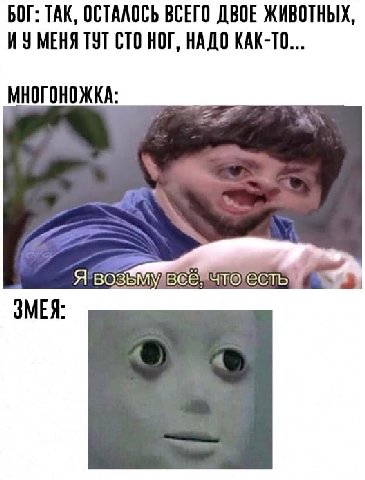 БОГ: ТАК, ОСТАЛОСЬ ВСЕГО ДВОЕ ЖИВОТНЫХ, ТУТ СТО НОГ, НАДО КАК-ТО... МНОГОНОЖКА: ЗМЕЯ