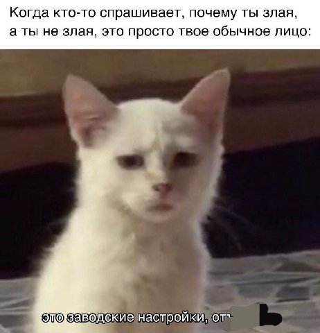 Когда кто-то спрашивает, почему ты злая, аты не злая, это просто твое обычное лицо: заводские настройки, от”
