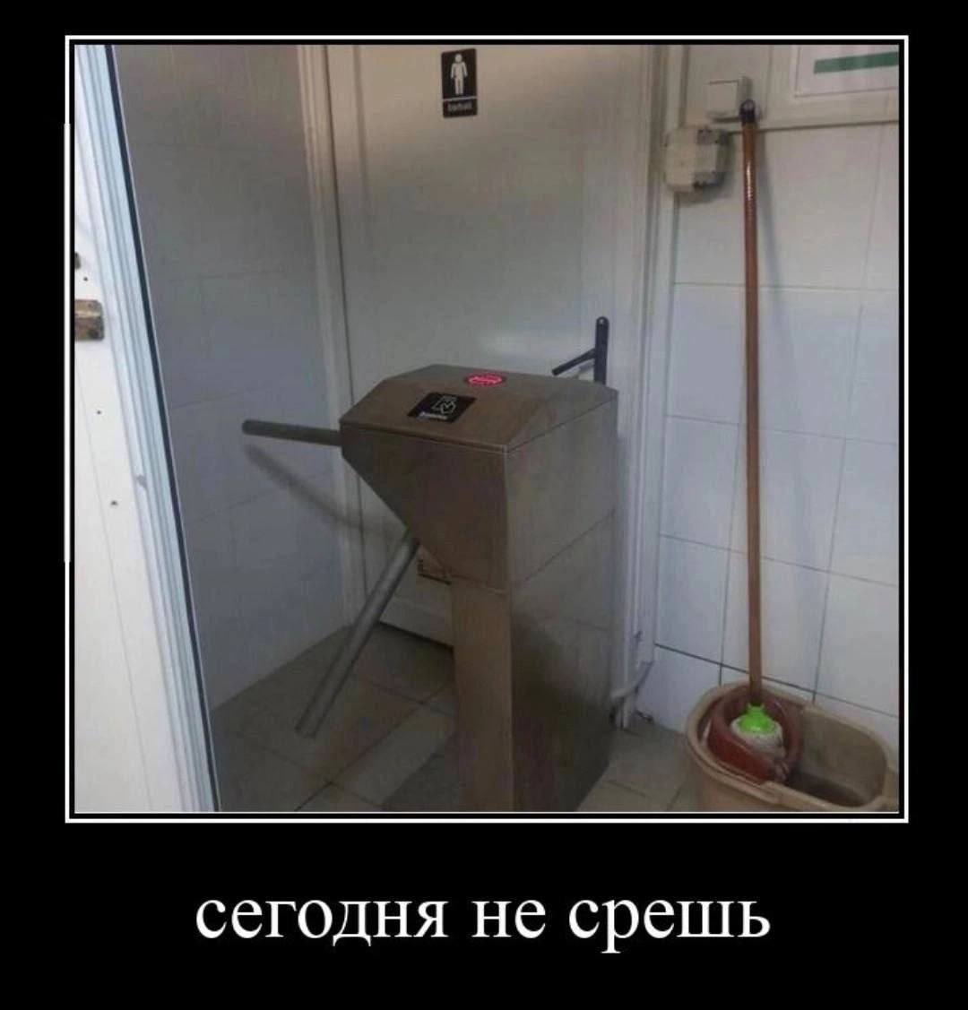 сегодня не срешь