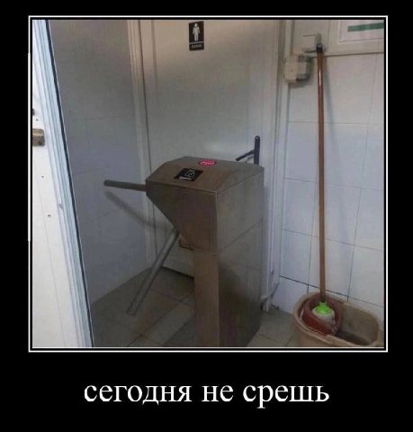 сегодня не срешь