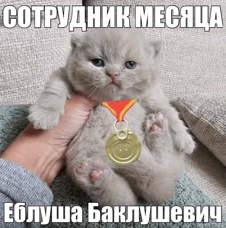 we ots у the we he ate nee 4. as <3 «4 2. 4 don a Еблуша Баклуше ВИЧ