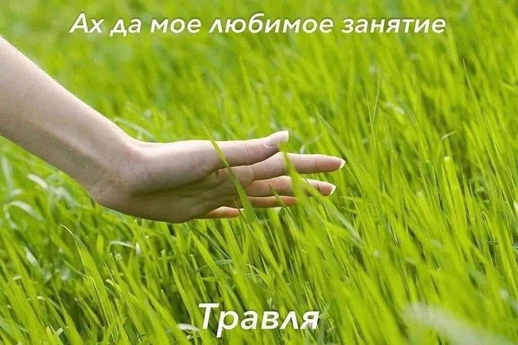 да мое любимое занятие Травля