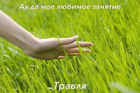 да мое любимое занятие Травля