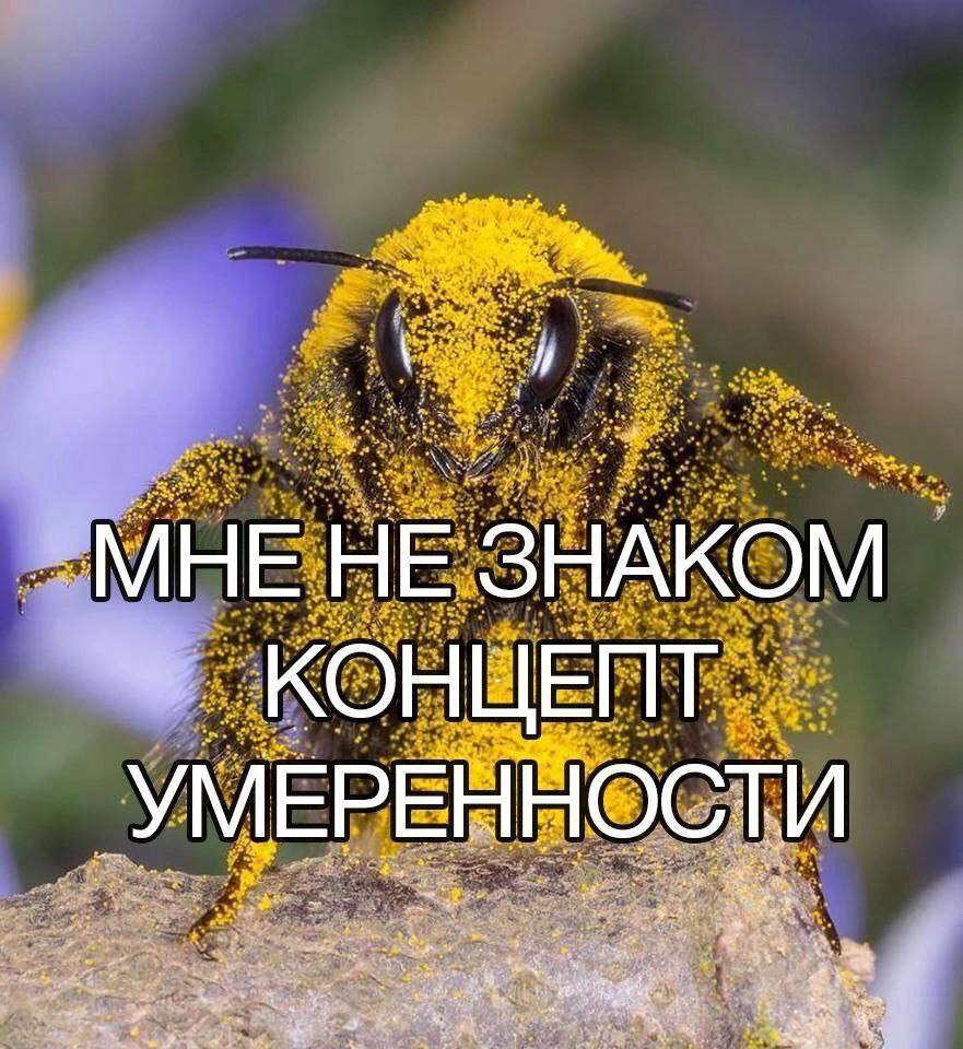 МЕРЕННОСТИ a у у и. Я: