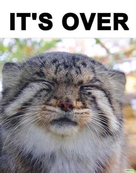 OVER oat я С a we