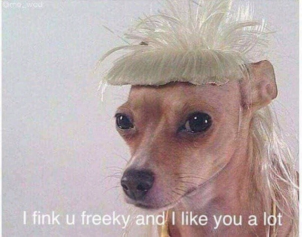 у у Rin у fink freeky-and like you а /-апа you a lot