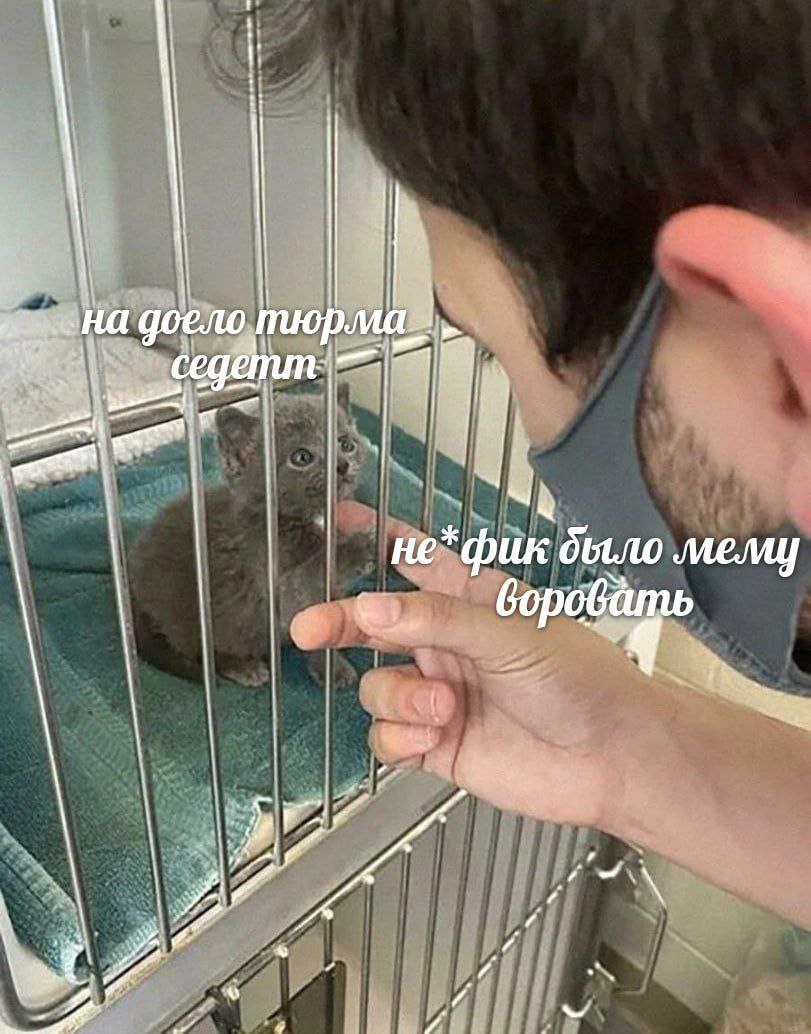 доело тюр *фик дыло обать