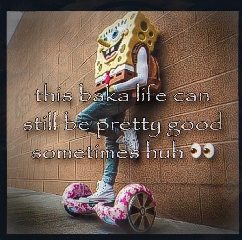 this Баба life can still be pretty ZOO sometimes 99