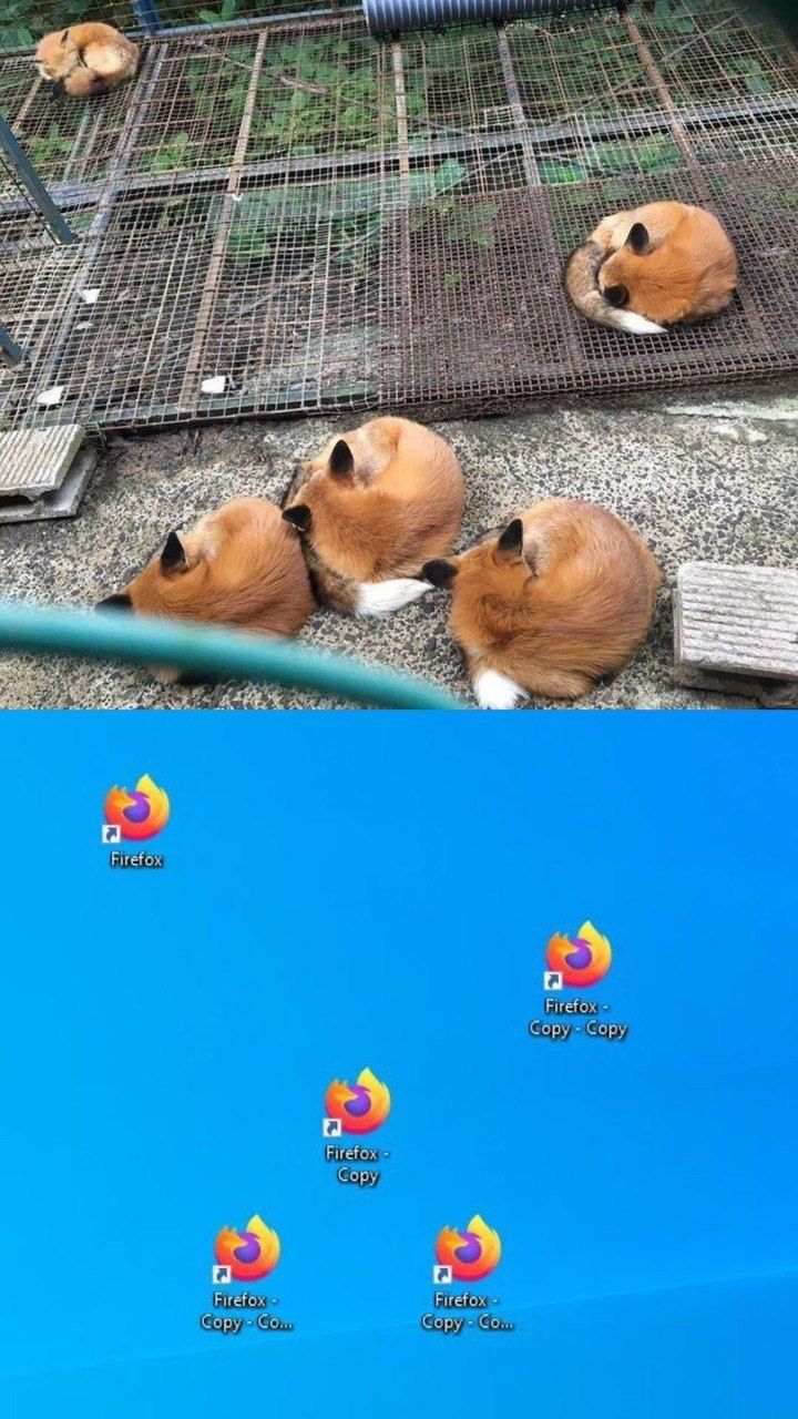 У А #4 4 a 7 $44 8 i 7 i ris wid 4 и, Wig OF 2 Firefox Firefox Сору Gopy Firefox Gopy Firefox Firefox GOpy